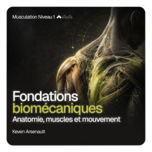 Musculation Niveau 1